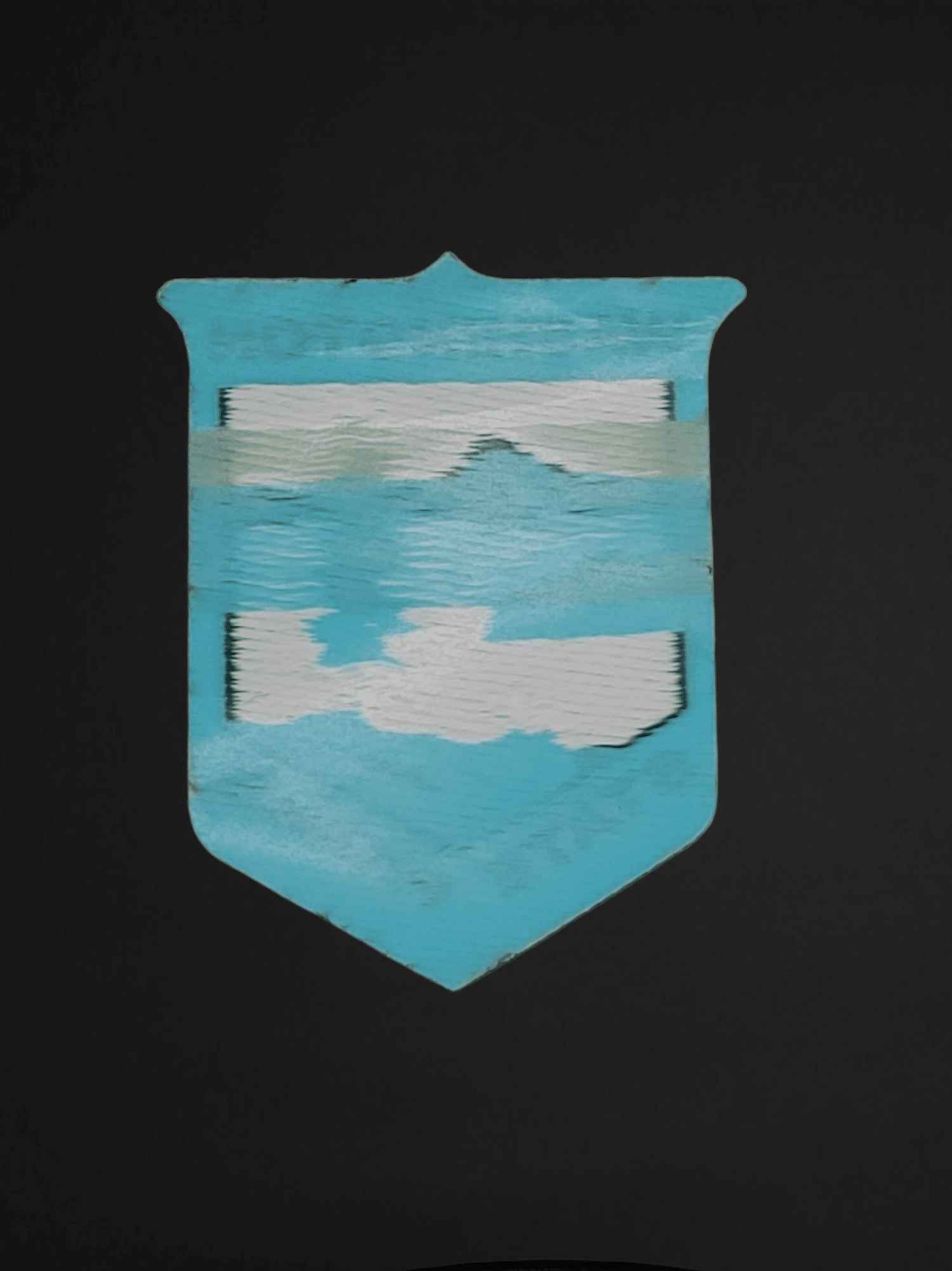 Washington State Parks Patch