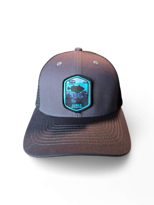 Aloha Hawaii Mesh Snapback Cap with State Design image 1