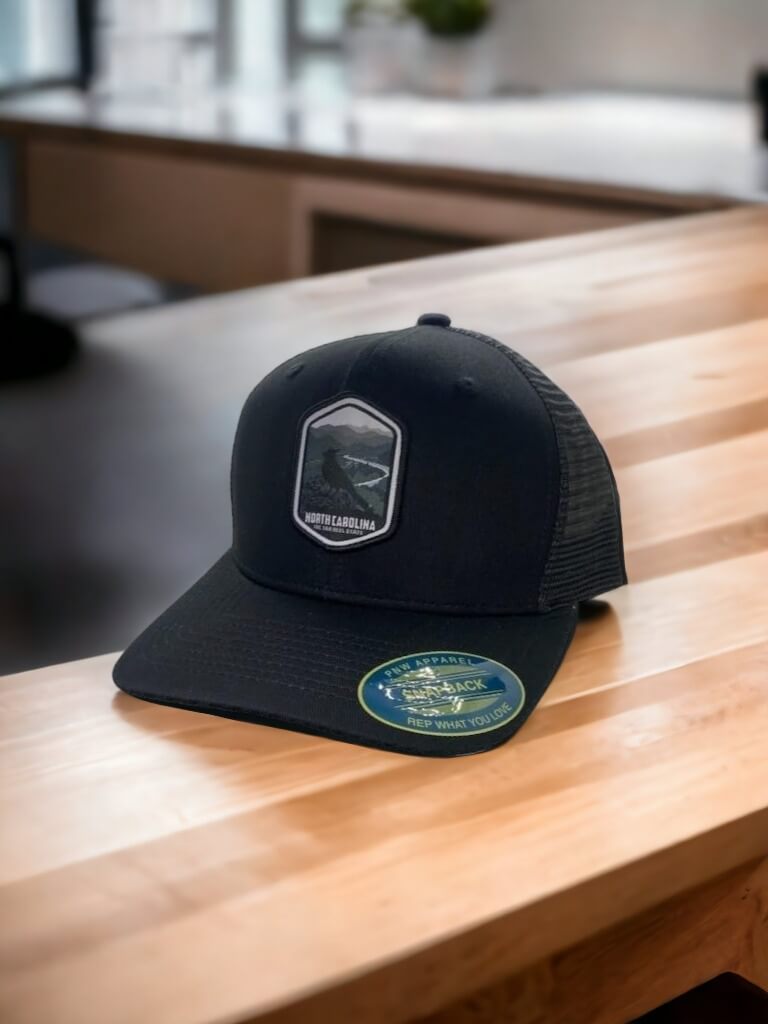 Palmetto State Casual Mesh Hat Unisex Gift - Black on Black Mesh image