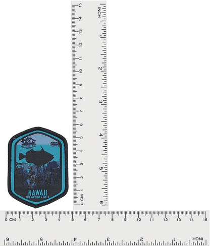Hawaii The Aloha State Patch image 3
