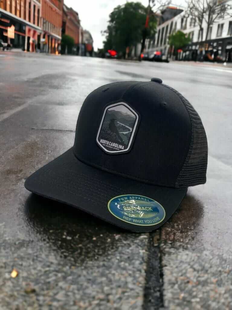 Palmetto State Casual Mesh Hat Unisex Gift image 4