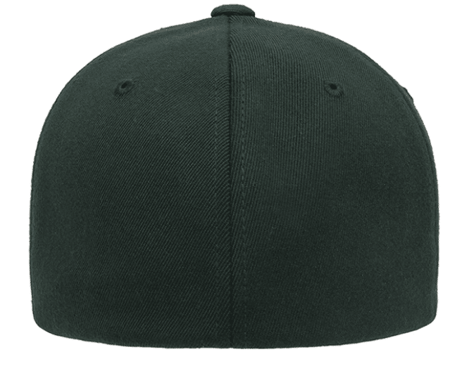 Sasquatch Fitted Hat image 4