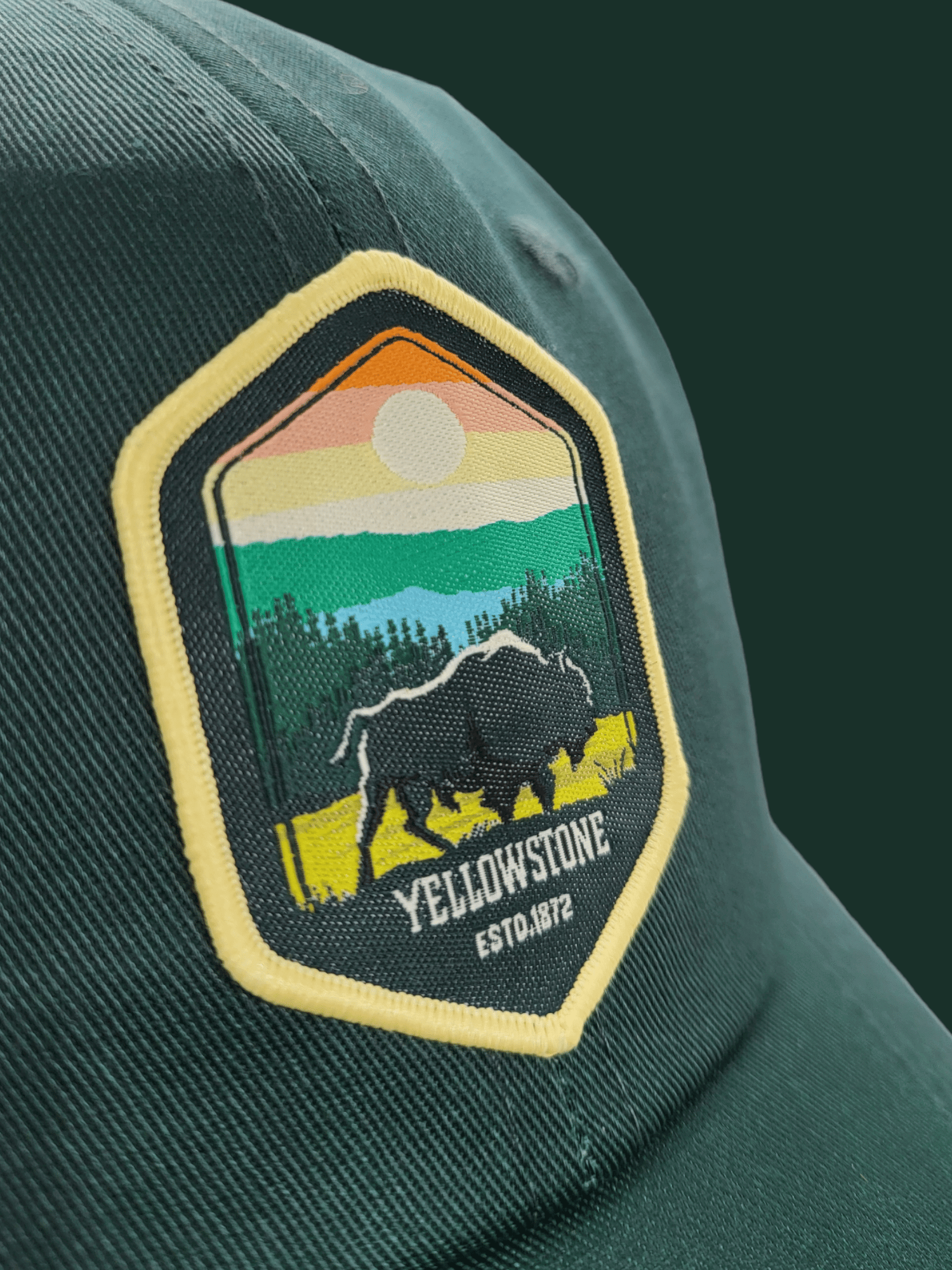 Yellowstone Dad Hat image 2