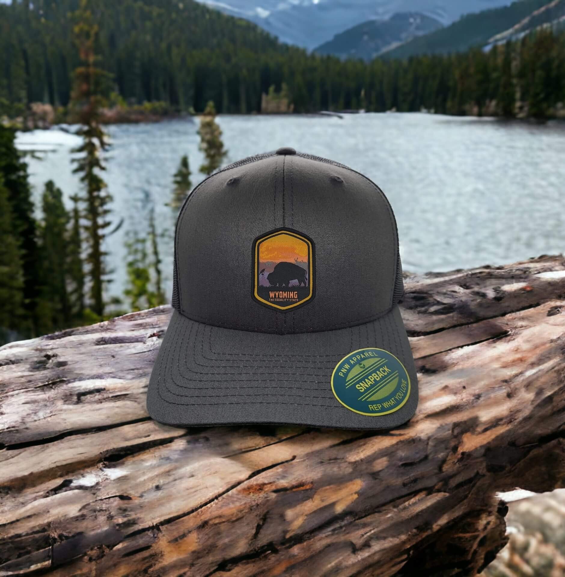 Wyoming Equality State Snapback Cap Gift image 2