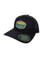 Mount Rainier Park Hat for Men - Snapback Style