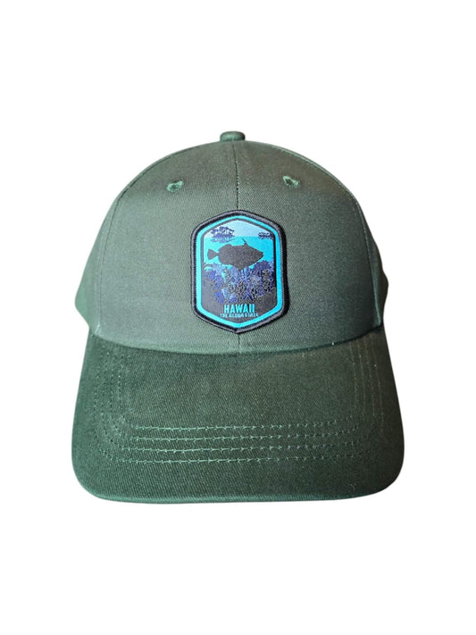 Tropical Paradise Hawaiian Cap – Aloha State Vacation Hat image 0