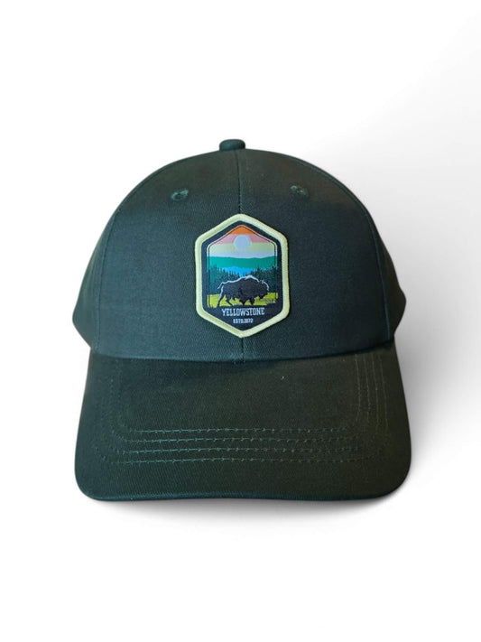 Yellowstone Dad Hat image 0