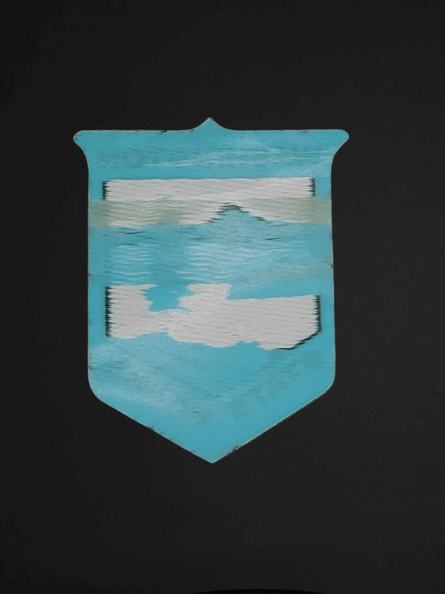 Washington State Parks Patch