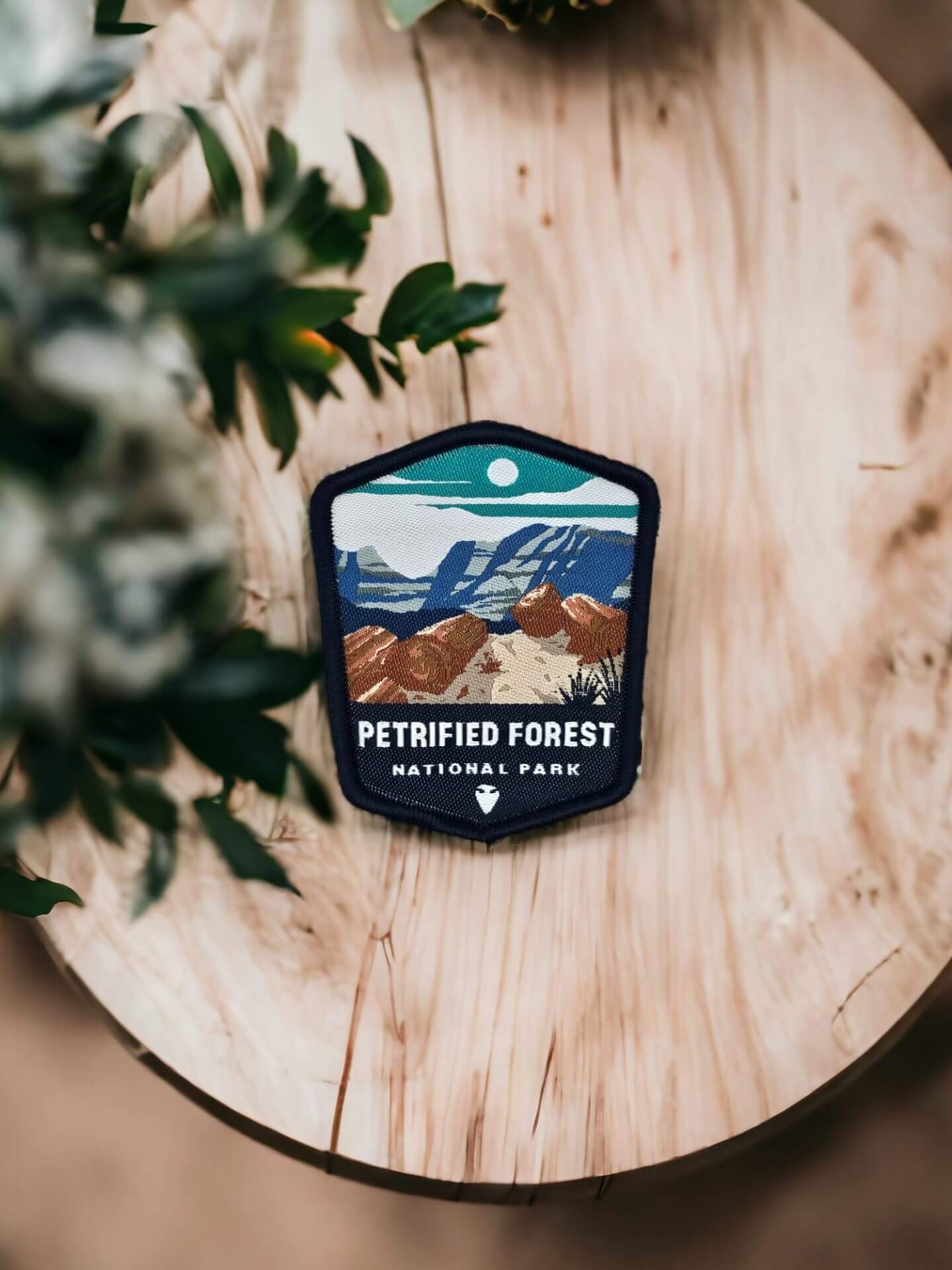 Petrified Forest National Park Patch image 1