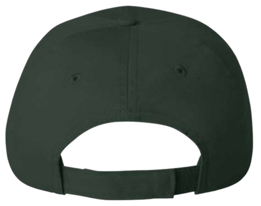 National Park Service Dad Hat image 5