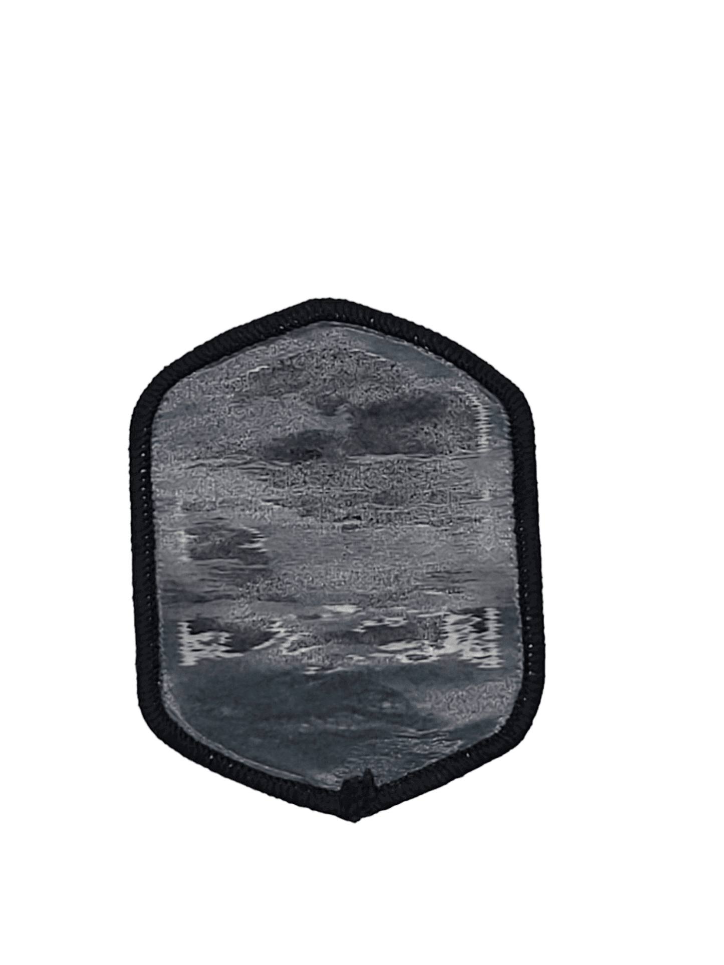 South Carolina Palmetto State Patch image 2